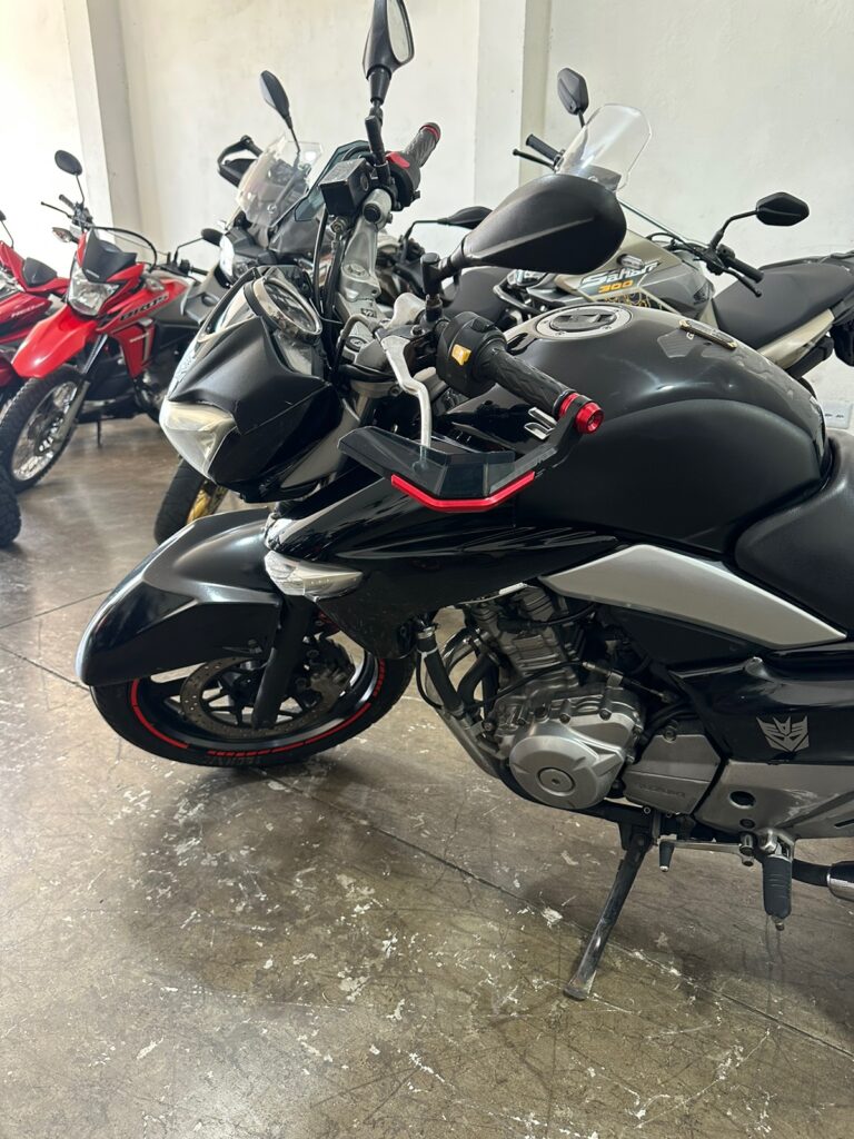 SUZUKI/INAZUMA 250 15/16