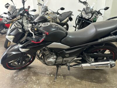 SUZUKI/INAZUMA 250 15/16